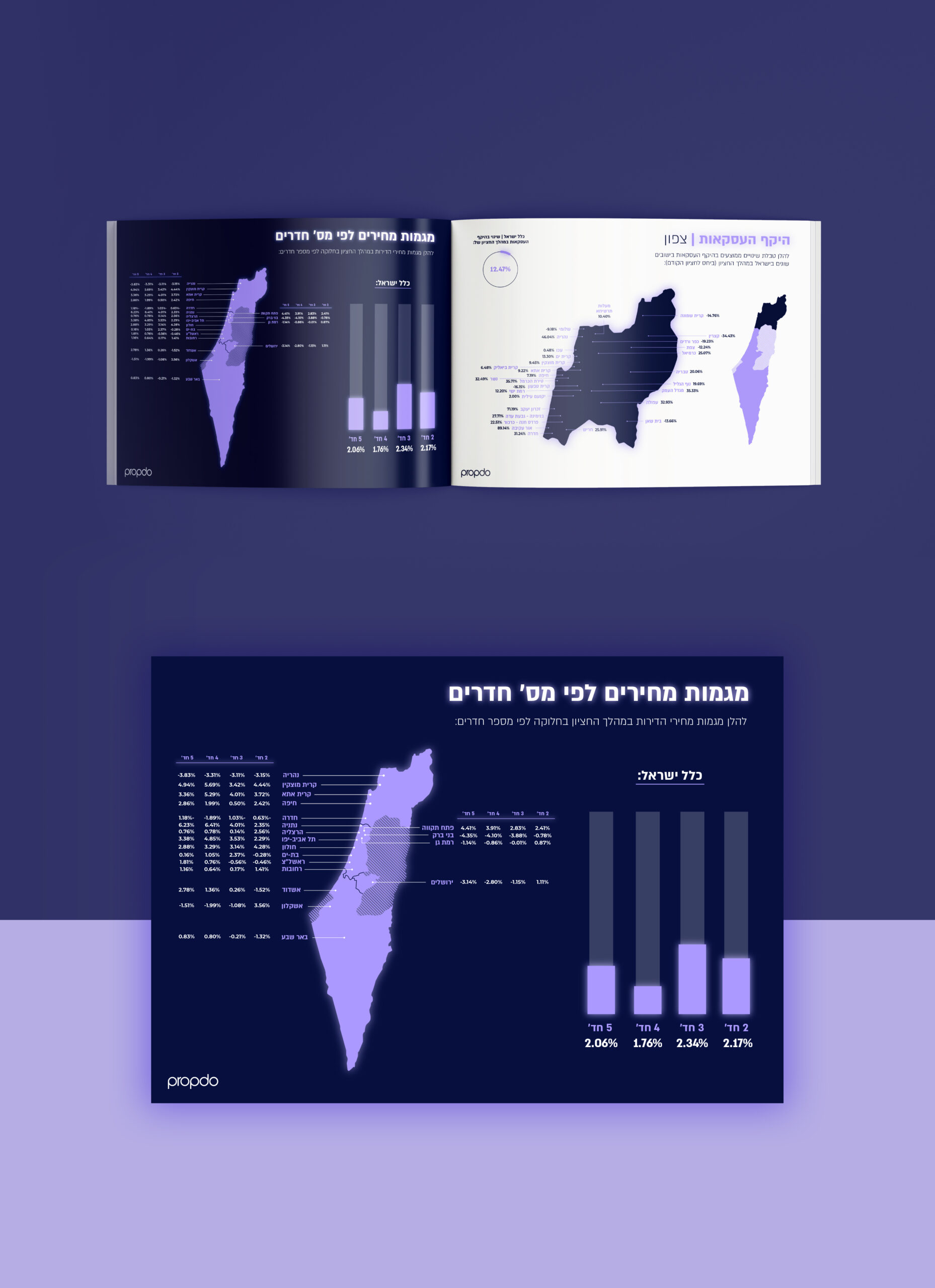 שפה, שפה עיצובית, שפה ויזואלית, חוברת, מצגת, מצגת חברת, שקף, שקפים, פאוורפוינט, דפוס, דיגיטל, אינפוגרפיקה, אייקונים